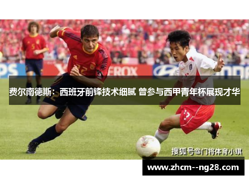 费尔南德斯：西班牙前锋技术细腻 曾参与西甲青年杯展现才华