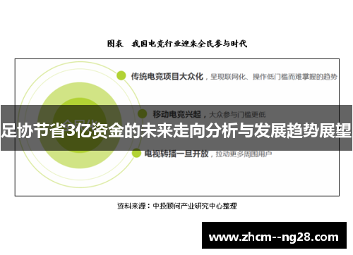 足协节省3亿资金的未来走向分析与发展趋势展望 足协节省3亿资金的未来走向分析与发展趋势展望